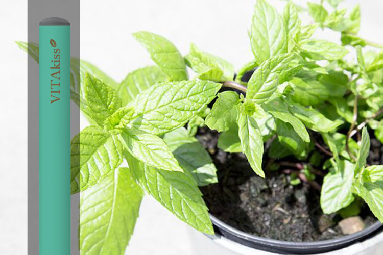 ミントメンソール